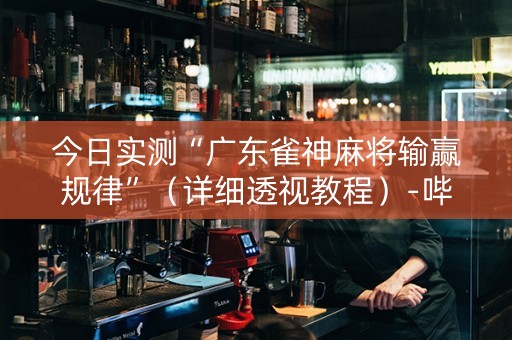 今日实测“广东雀神麻将输赢规律”（详细透视教程）-哔哩哔哩
