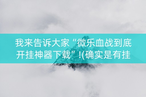 我来告诉大家“微乐血战到底开挂神器下载”!(确实是有挂)-知乎