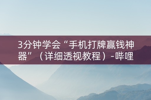3分钟学会“手机打牌赢钱神器”（详细透视教程）-哔哩哔哩