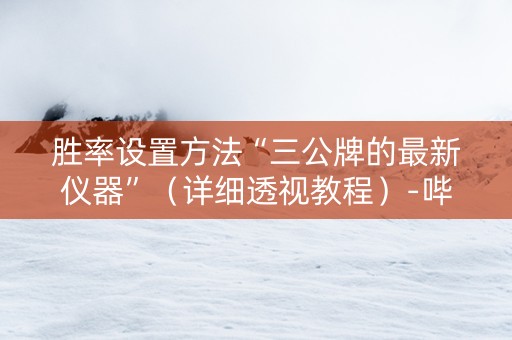 胜率设置方法“三公牌的最新仪器”（详细透视教程）-哔哩哔哩
