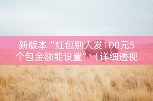 新版本“红包别人发100元5个包金额能设置”（详细透视教程）-哔哩哔哩