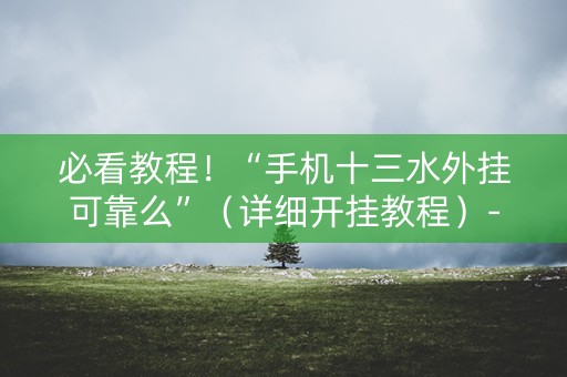 必看教程！“手机十三水外挂可靠么”（详细开挂教程）-哔哩哔哩