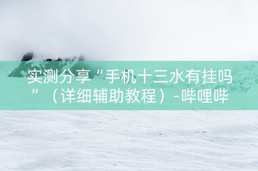 实测分享“手机十三水有挂吗”（详细辅助教程）-哔哩哔哩