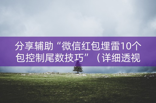 分享辅助“微信红包埋雷10个包控制尾数技巧”（详细透视教程）-哔哩哔哩
