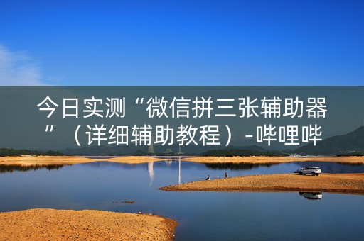 今日实测“微信拼三张辅助器”（详细辅助教程）-哔哩哔哩