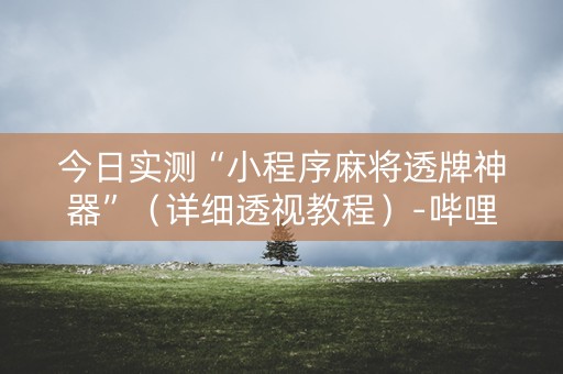 今日实测“小程序麻将透牌神器”（详细透视教程）-哔哩哔哩