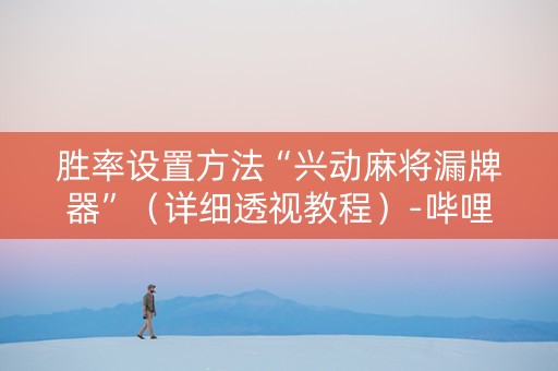 胜率设置方法“兴动麻将漏牌器”（详细透视教程）-哔哩哔哩