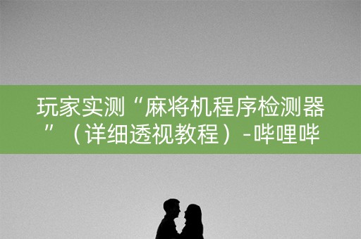 玩家实测“麻将机程序检测器”（详细透视教程）-哔哩哔哩