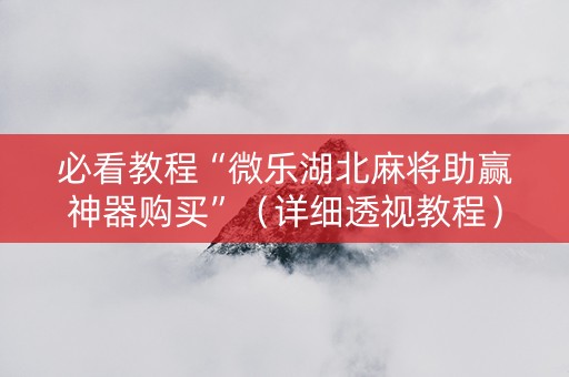 必看教程“微乐湖北麻将助赢神器购买”（详细透视教程）-哔哩哔哩