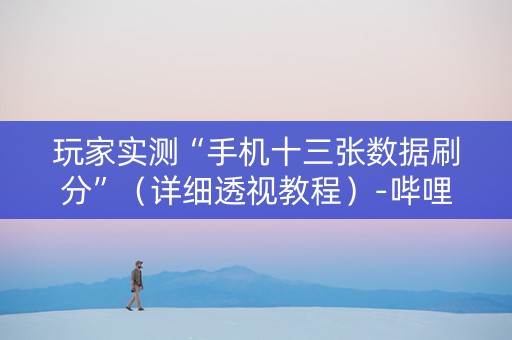玩家实测“手机十三张数据刷分”（详细透视教程）-哔哩哔哩