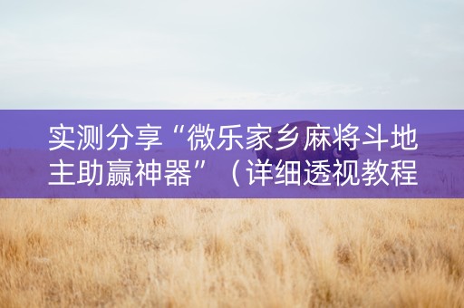 实测分享“微乐家乡麻将斗地主助赢神器”（详细透视教程）-哔哩哔哩