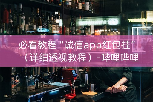 必看教程“诚信app红包挂”（详细透视教程）-哔哩哔哩