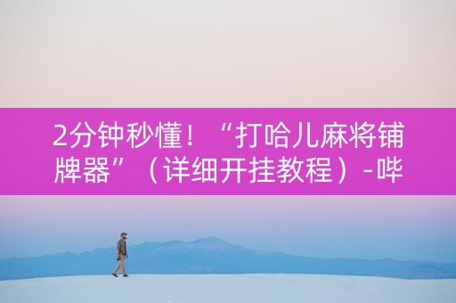 2分钟秒懂！“打哈儿麻将铺牌器”（详细开挂教程）-哔哩哔哩