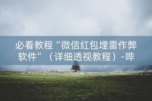 必看教程“微信红包埋雷作弊软件”（详细透视教程）-哔哩哔哩