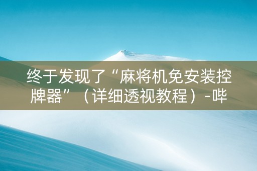终于发现了“麻将机免安装控牌器”（详细透视教程）-哔哩哔哩