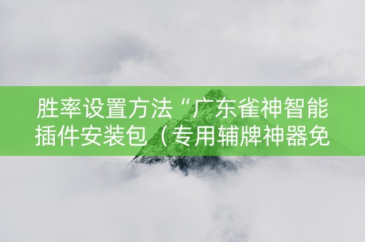 胜率设置方法“广东雀神智能插件安装包（专用辅牌神器免安装）