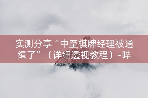 实测分享“中至棋牌经理被通缉了”（详细透视教程）-哔哩哔哩
