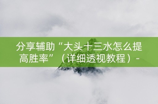 分享辅助“大头十三水怎么提高胜率”（详细透视教程）-哔哩哔哩