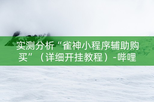 实测分析“雀神小程序辅助购买”（详细开挂教程）-哔哩哔哩