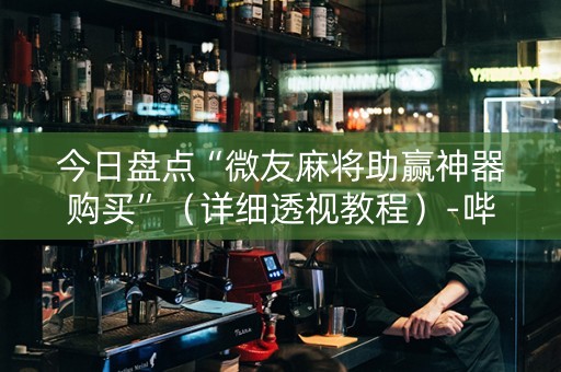 今日盘点“微友麻将助赢神器购买”（详细透视教程）-哔哩哔哩