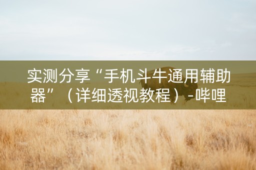 实测分享“手机斗牛通用辅助器”（详细透视教程）-哔哩哔哩