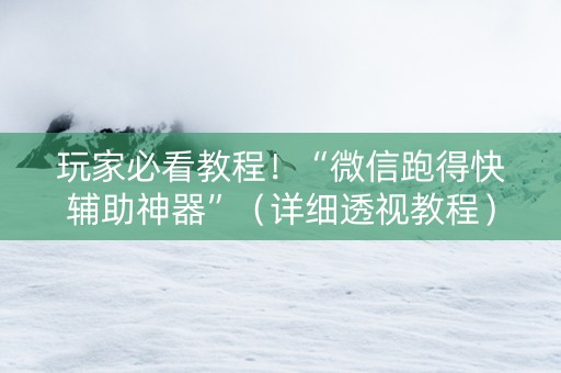玩家必看教程！“微信跑得快辅助神器”（详细透视教程）-哔哩哔哩