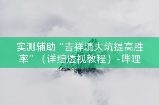 实测辅助“吉祥填大坑提高胜率”（详细透视教程）-哔哩哔哩