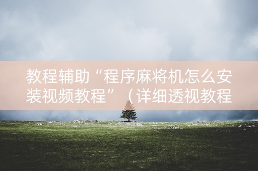 教程辅助“程序麻将机怎么安装视频教程”（详细透视教程）-哔哩哔哩