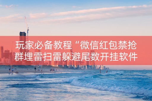 玩家必备教程“微信红包禁抢群埋雷扫雷躲避尾数开挂软件辅助”（详细透视教程）-哔哩哔哩