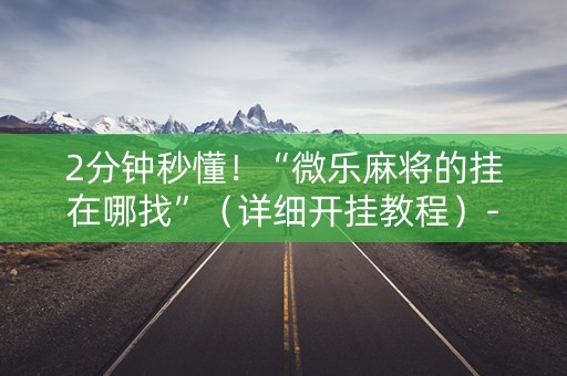 2分钟秒懂！“微乐麻将的挂在哪找”（详细开挂教程）-哔哩哔哩