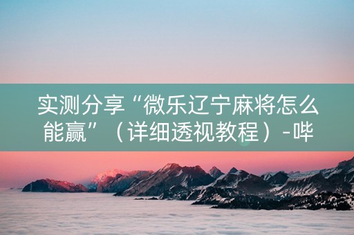 实测分享“微乐辽宁麻将怎么能赢”（详细透视教程）-哔哩哔哩
