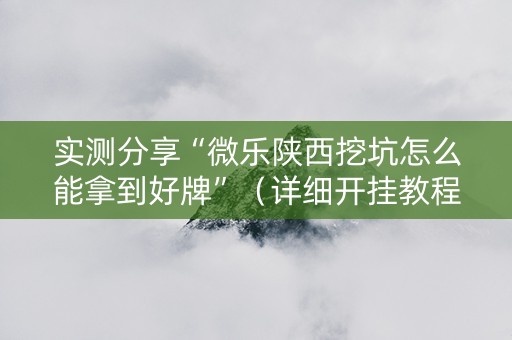 实测分享“微乐陕西挖坑怎么能拿到好牌”（详细开挂教程）-哔哩哔哩