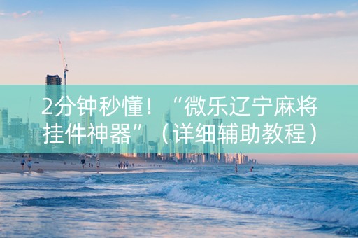 2分钟秒懂！“微乐辽宁麻将挂件神器”（详细辅助教程）-哔哩哔哩