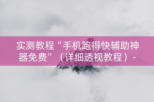 实测教程“手机跑得快辅助神器免费”（详细透视教程）-哔哩哔哩