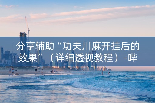 分享辅助“功夫川麻开挂后的效果”（详细透视教程）-哔哩哔哩