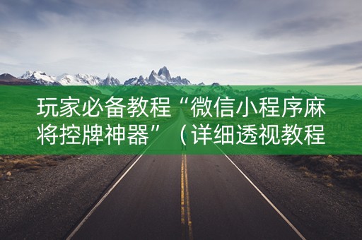 玩家必备教程“微信小程序麻将控牌神器”（详细透视教程）-哔哩哔哩
