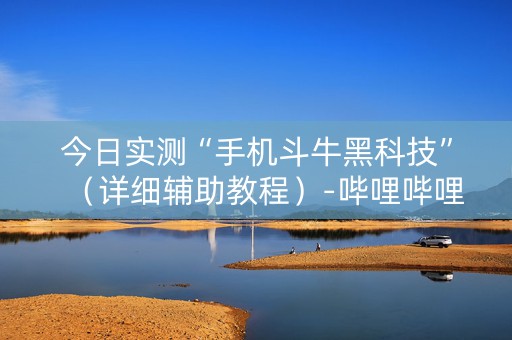 今日实测“手机斗牛黑科技”（详细辅助教程）-哔哩哔哩