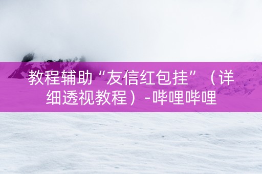 教程辅助“友信红包挂”（详细透视教程）-哔哩哔哩