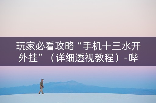 玩家必看攻略“手机十三水开外挂”（详细透视教程）-哔哩哔哩
