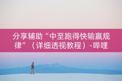 分享辅助“中至跑得快输赢规律”（详细透视教程）-哔哩哔哩