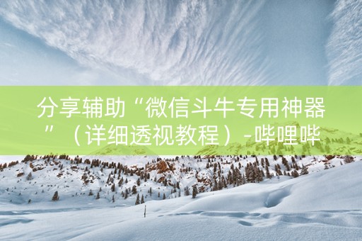 分享辅助“微信斗牛专用神器”（详细透视教程）-哔哩哔哩