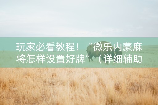 玩家必看教程！“微乐内蒙麻将怎样设置好牌”（详细辅助教程）-哔哩哔哩