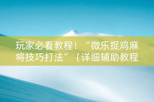 玩家必看教程！“微乐捉鸡麻将技巧打法”（详细辅助教程）-哔哩哔哩