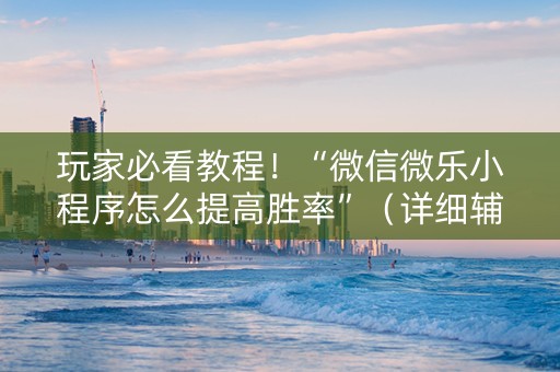 玩家必看教程！“微信微乐小程序怎么提高胜率”（详细辅助教程）-哔哩哔哩