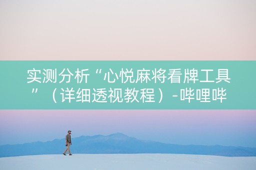 实测分析“心悦麻将看牌工具”（详细透视教程）-哔哩哔哩