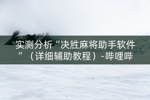 实测分析“决胜麻将助手软件”（详细辅助教程）-哔哩哔哩