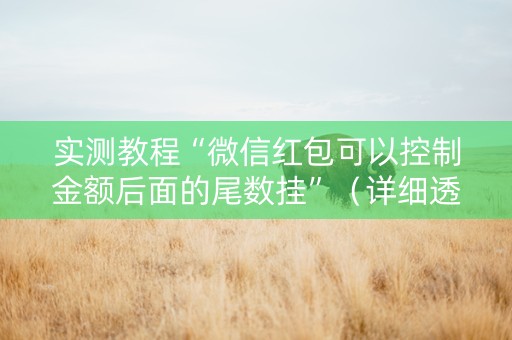实测教程“微信红包可以控制金额后面的尾数挂”（详细透视教程）-哔哩哔哩