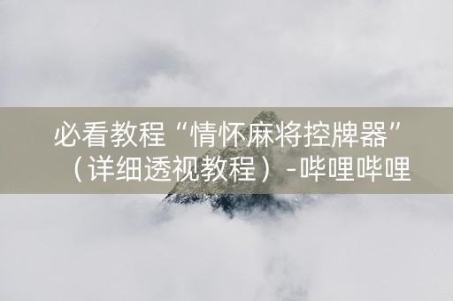 必看教程“情怀麻将控牌器”（详细透视教程）-哔哩哔哩