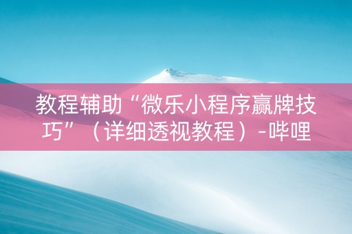 教程辅助“微乐小程序赢牌技巧”（详细透视教程）-哔哩哔哩