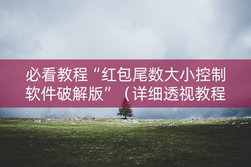 必看教程“红包尾数大小控制软件破解版”（详细透视教程）-哔哩哔哩